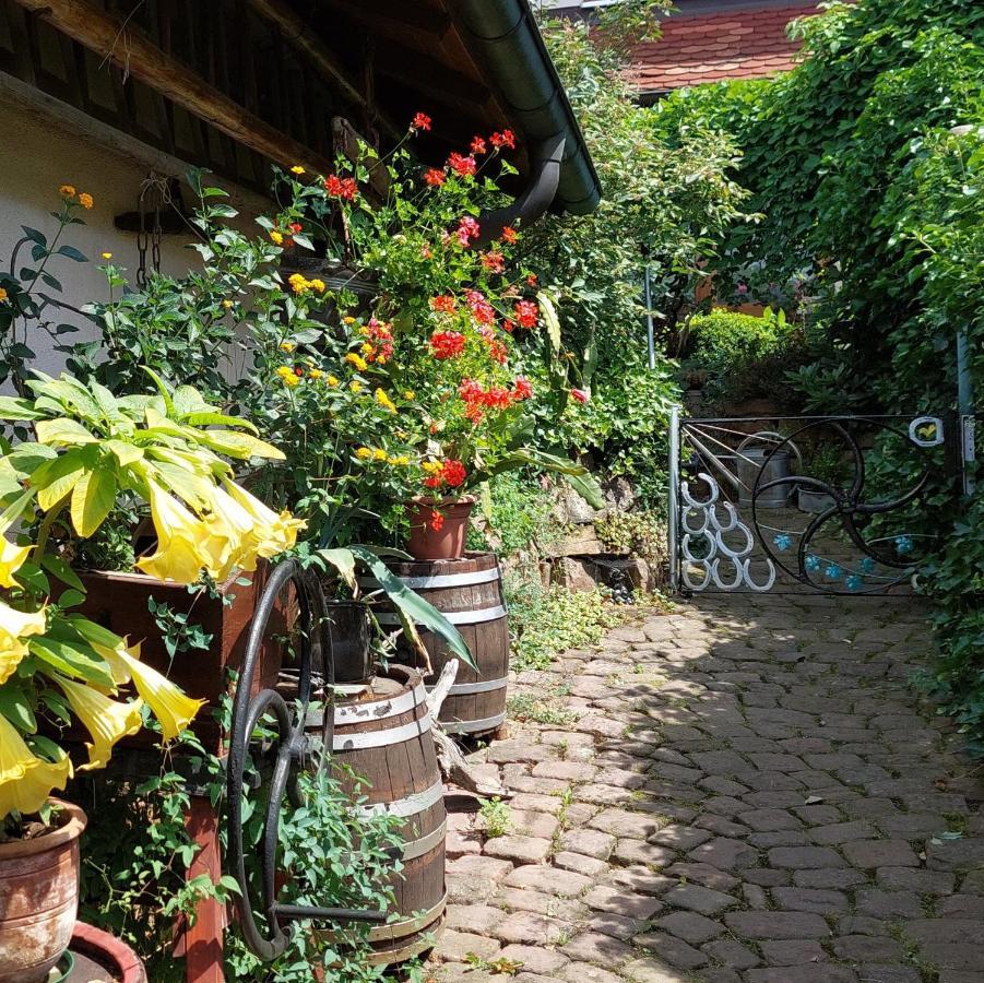 Apartamento Beim Schlafwandler Karlsbad Exterior foto